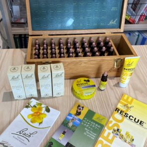 バッチフラワーレメディ　ベーシックコース（90分）