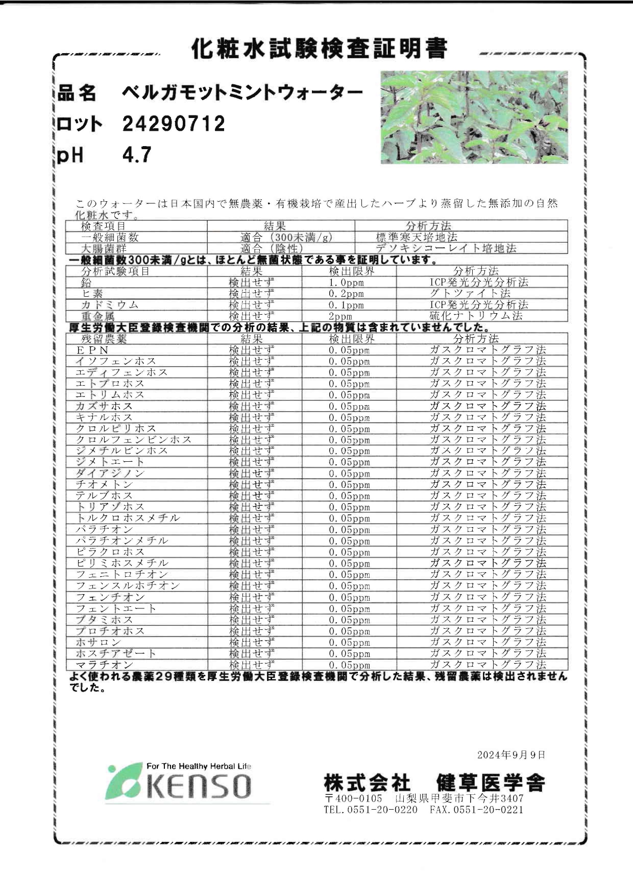 ベルガモットミントウォーター、新ロットに切替わりました