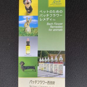 進呈 リーフレット ペット用バッチフラワーレメディ