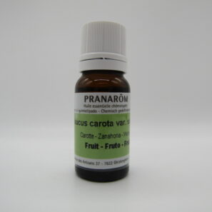 ワイルドキャロット