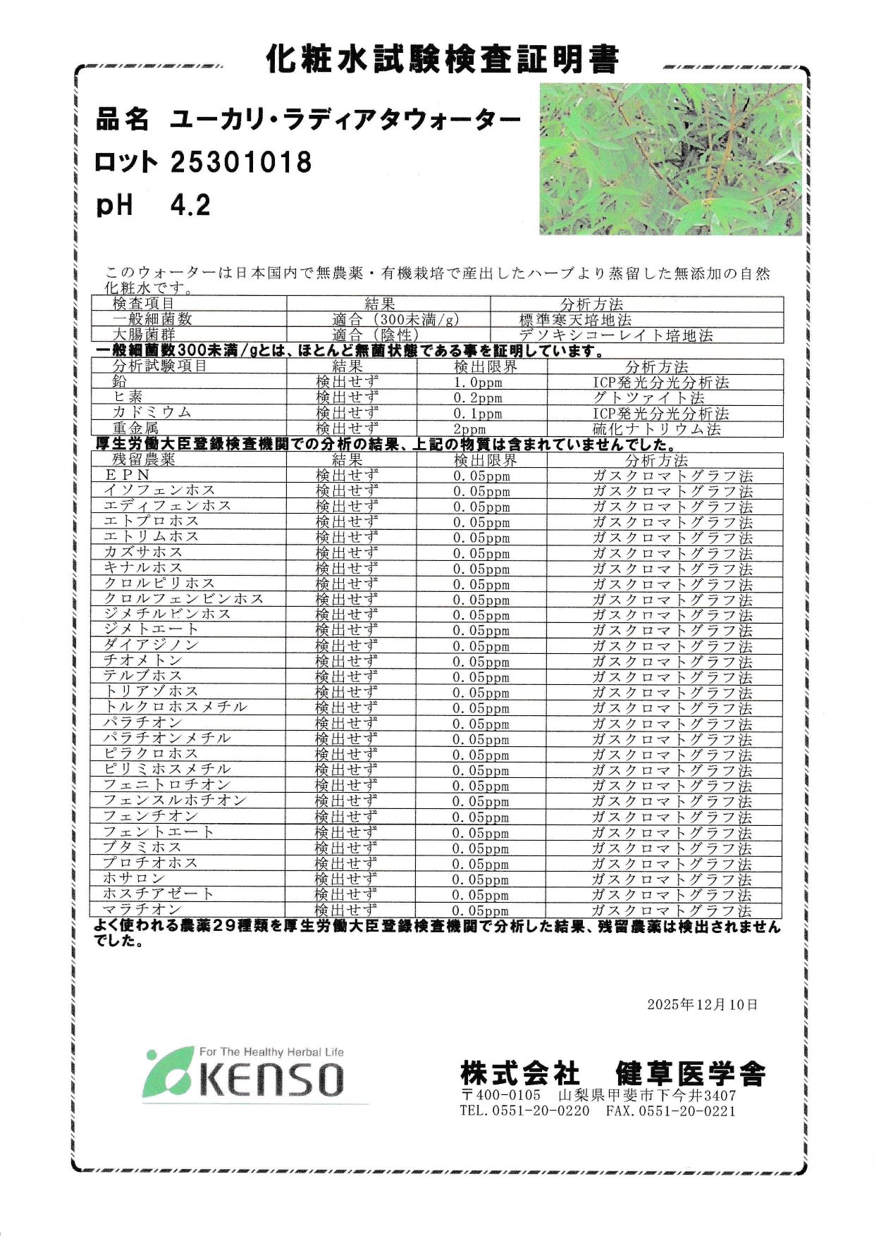 ユーカリ・ラディアタウォーター新ロットに