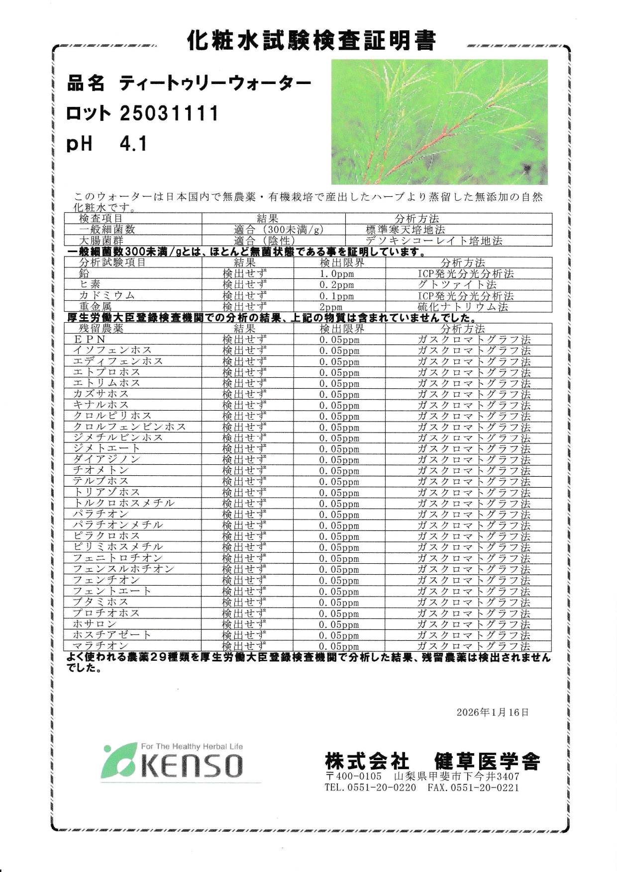ティートゥリーウォーター新ロットになりました
