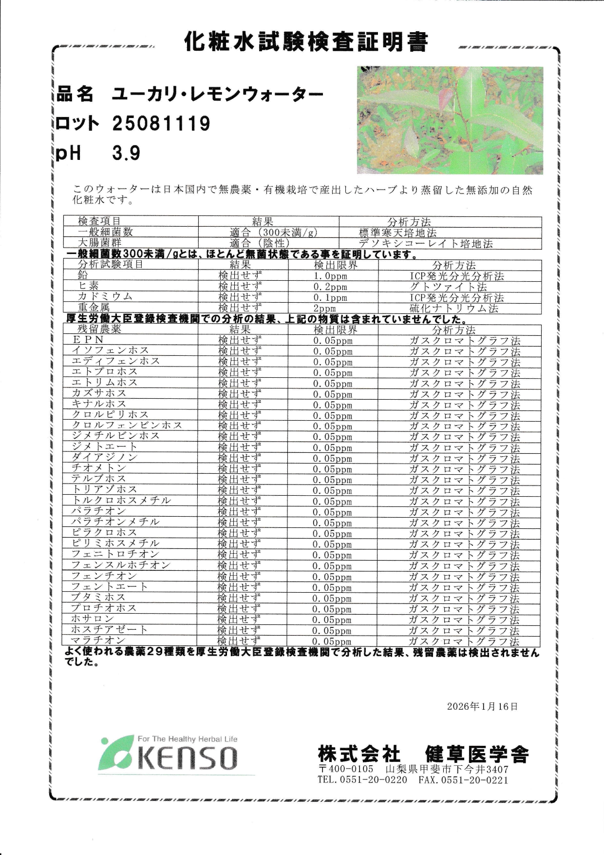 新ロットに　ティートゥリーレモンウォーター